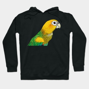 Yellow-headed Parrot Hoodie